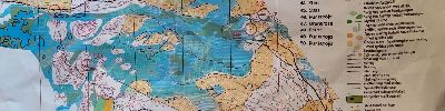 Sverige (15/07/2026)