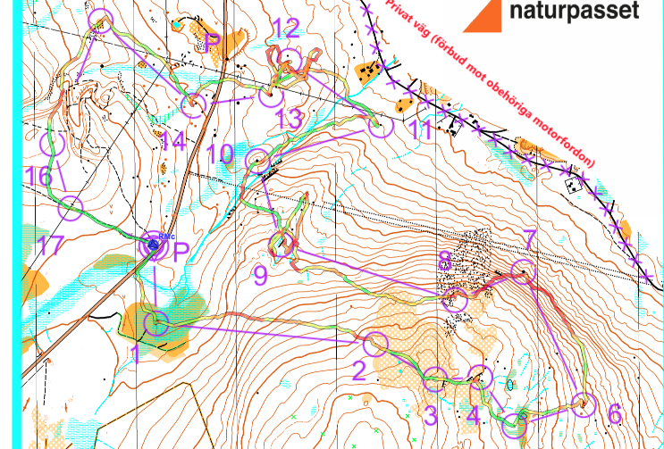 IFK Kiruna training event - Naturpassetuppstart (2024-06-04)