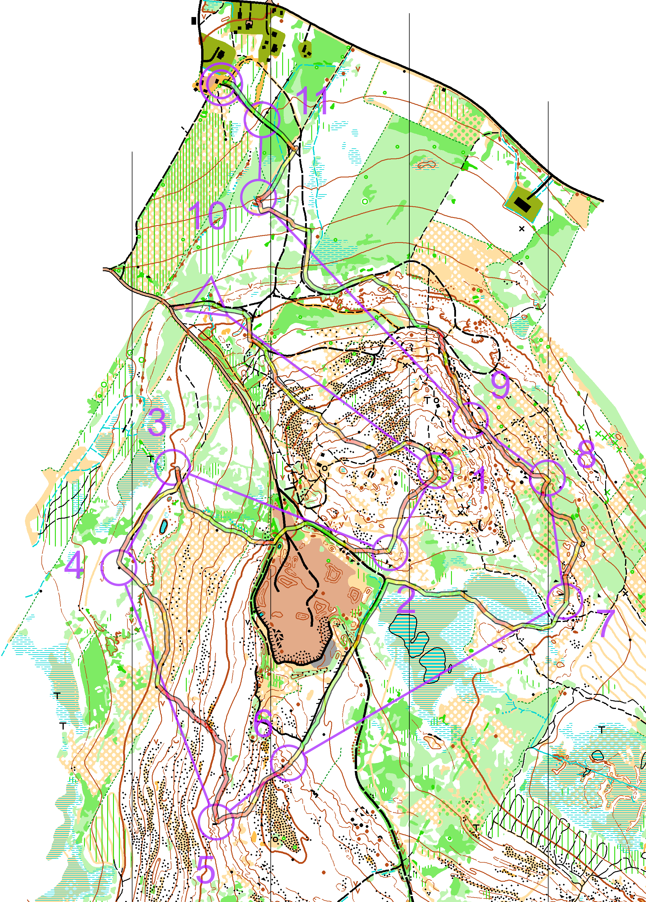DM long Norrbotten H65 (23/08/2025)