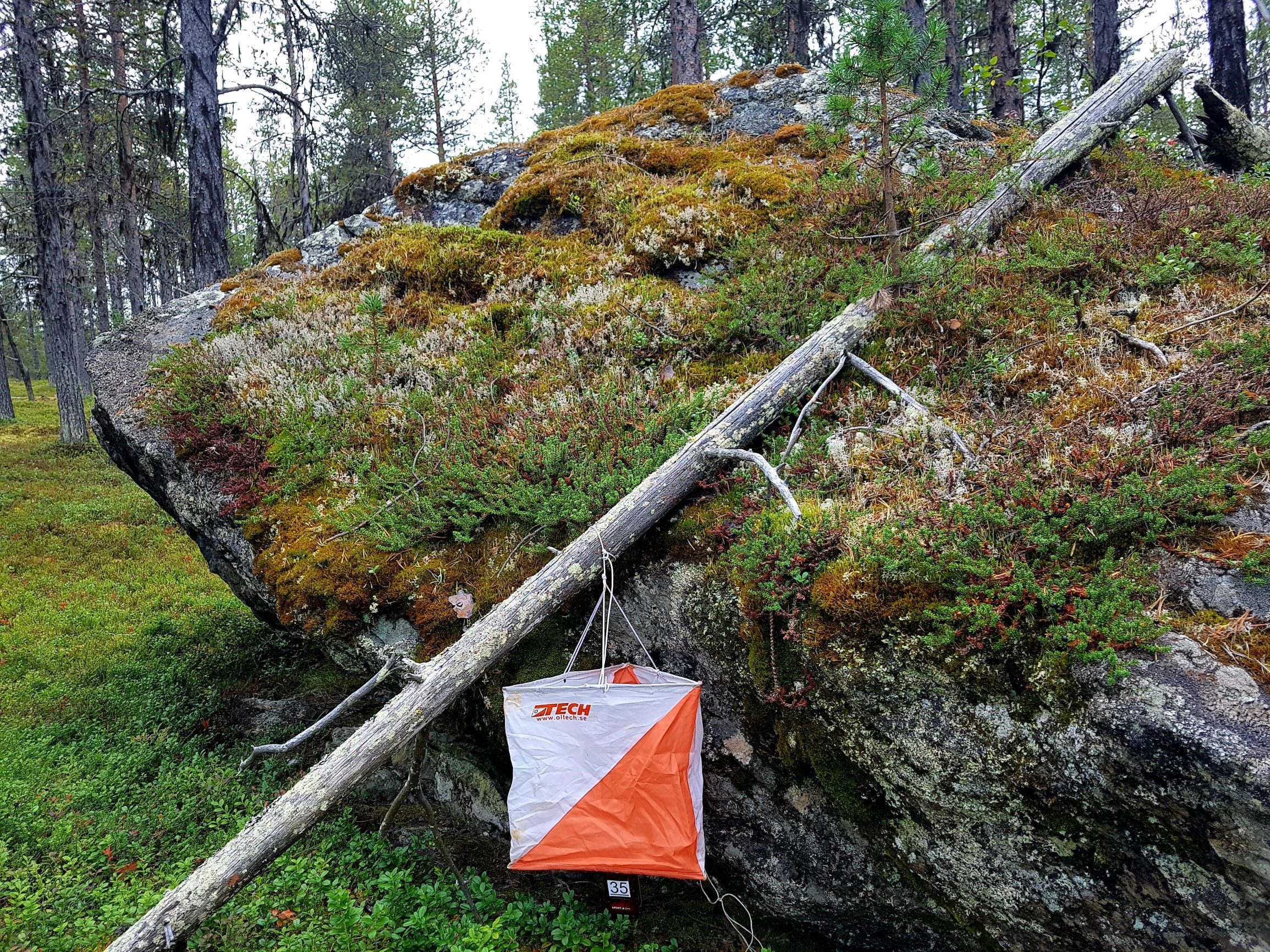 Orienteringskontroll vid sten